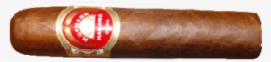 Upmann Half Corona H/r - Cigars