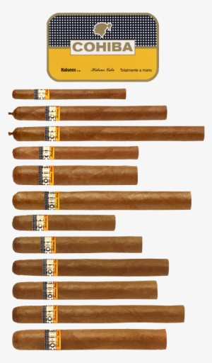 Popular But Limited - Cohiba Sizes Chart