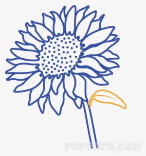 Attach A Leaf To It - Common Sunflower