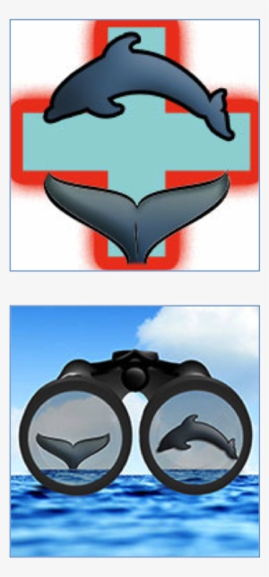 App Icons For The Noaa Apps - Dolphin And Whale 911 App