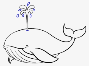 How To Draw Whale - Blue Whales To Draw