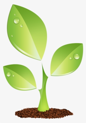 S E E D E D C O N T E N T - Sapling Icon Png