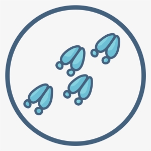 Symbol