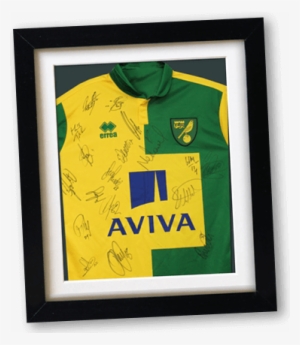 Banner Norwich Shirt Frame - Norwich City Trikot