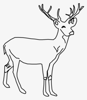Buck Deer Clipart - Deer Clip Art