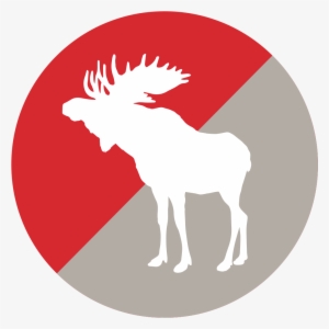 Email - - Elk