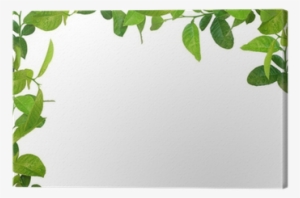 Leaves Frame