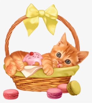 Gatti Tubes Per Grafica In Png Animal - Kitten In A Basket Clipart