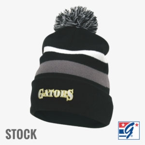 The Game Roll Up Custom Beanie With Pom - Game Adult Roll Up Beanie Blue One Size Fits Most