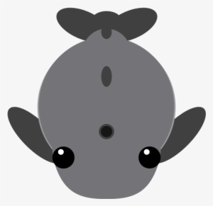 Artisticsperm Whale - Cartoon