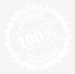 During Summer Time It Is Mainly Sperm Whales To Be - Simbolo Da Engenharia Mecanica