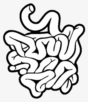 Small Intestine Coloring Page - Small Intestine Black And White
