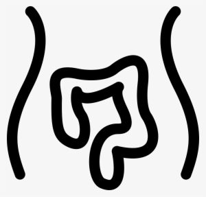 Intestines Comments - Boş Verme Oy Ver