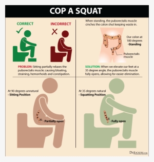 Are You Nourishing Your Body With A Healthy Intake - Best Poop Position For Constipation