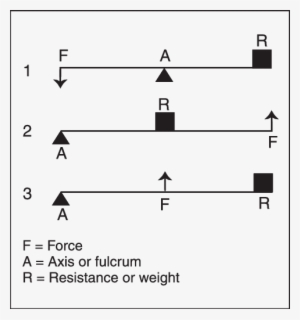 Lever Classes - - Science