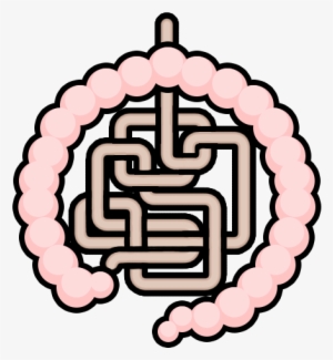 Intestines - Christmas