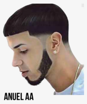 Model Image Graphic Image - Anuel Pelo