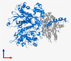 <div Class='caption-body'>pdb Entry 3ohm Contains 1 - Actin