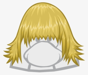 The Skater - Club Penguin The Right