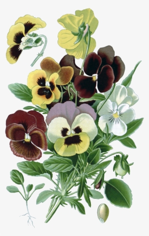 Hd Gorgeous Vintage Painted Flowers - طرح گل برای نقاشی