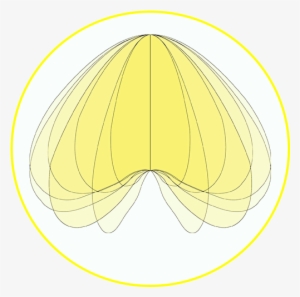 Loop Batwing Detail - Circle