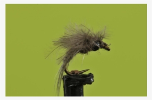 Bwo Batwing Emerger - House Fly