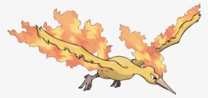 Aka Bird Rapidash - Pokemon Moltres Moves