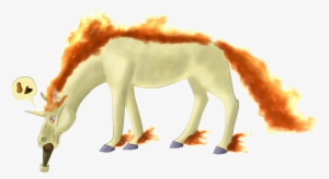 Rapidash - Mane
