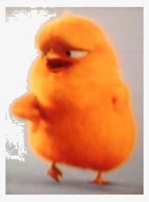 Carlos In Hop - Canary