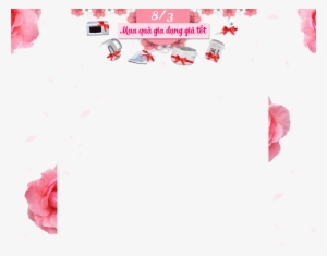 Friday, June 30, 2017 - Garden Roses