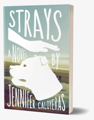 Cover Of Strays - Strays: A Novel