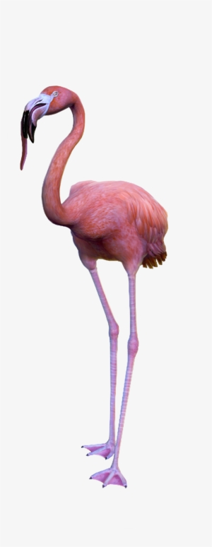 Valentino Salami Is One Badass Ostrich, Chicken, Or - Goat Simulator Payday Costume