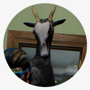 Either Way Is Fine In Itself, But It Was My Personal - Goat