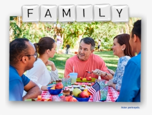 Family Members Having A Picnic - Picnic