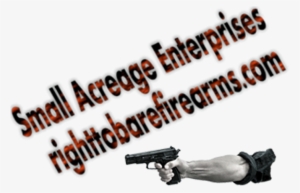 Springfield Armory Xd Mod2 45 Acp 4″ Service Pistol - Business