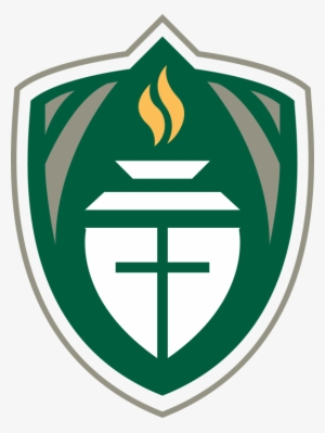 Mt Olive College Logo