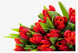 Bouquet Flowers Png - Group Of Flowers Not In Vase Bright