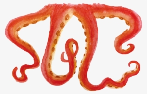 By Melinda Lewis - Octopus
