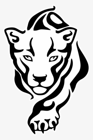 Chinese Drawing Panther - Panther Head Drawing