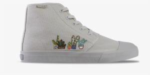 London Fog Succulent Ht