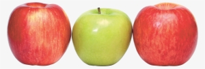 Apple Png - Red Green Apples Transparent