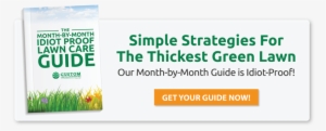 Free Month By Month Lawn Care Guide - Lawn