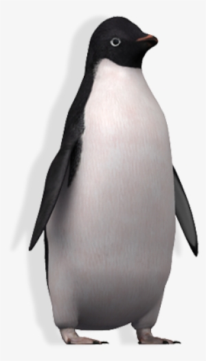 Adopt A Penguin - Adelie Penguin Png