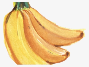 Banana Png Transparent Images - Watercolor Banana Png