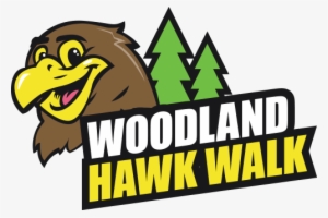 Harris Hawk Clipart Transparent - Hawk