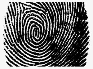 Fingerprint Png Transparent Images - Huellas Dactilares Fondo Transparente