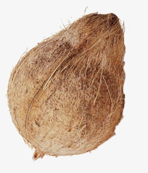 Coconut Whole
