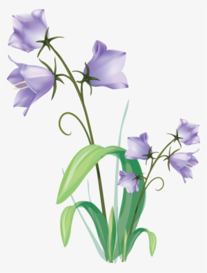 Яндекс - Фотки - Flowering Plants Drawing