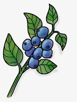 Wild Blueberry - Portable Network Graphics