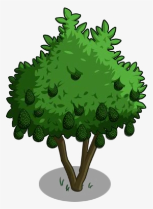 Avocado Tree 100-icon - Farmville